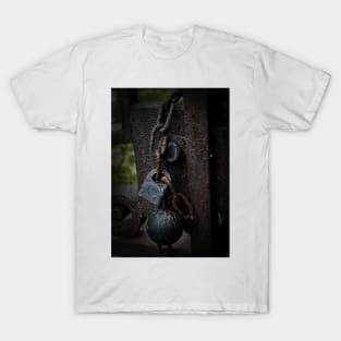 Locked In Time T-Shirt